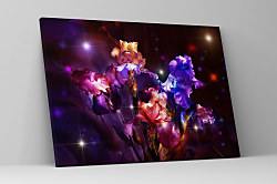 Obraz Kvetinové trblietky Gladiol zs1247